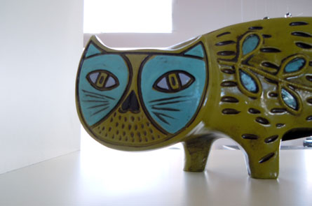 cat